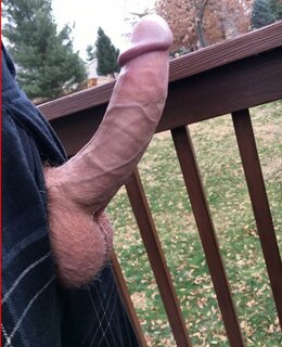 Kavkaz — фото 3